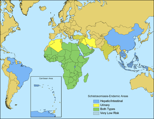 Map 4-10. Geographic distribution of schistosomiasis